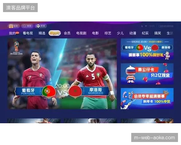 为何单一入场扫码环节难以封堵世界杯期间跨国代抢的团伙式套票漏洞